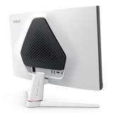 BenQ MOBIUZ EX251 25" 220Hz Gaming Monitor