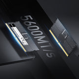 Lexar RAM 32GB DDR5 PC 5600MHz CL46 SODIMM Laptop Memory