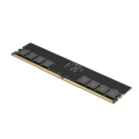 Lexar RAM 32GB DDR5 PC 5600MHz CL46 UDIMM Desktop Memory