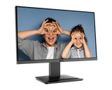 MSI PRO MP223 E2 22 inch FHD 100Hz VA 1ms Monitor
