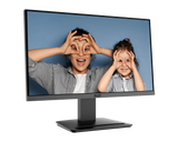 MSI PRO MP223 E2 21.45-inch FHD 100Hz EyesErgo productivity monitor